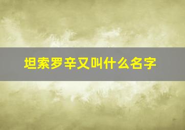 坦索罗辛又叫什么名字