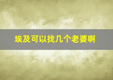 埃及可以找几个老婆啊