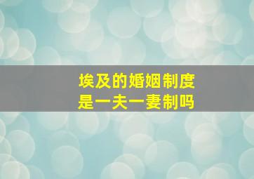 埃及的婚姻制度是一夫一妻制吗