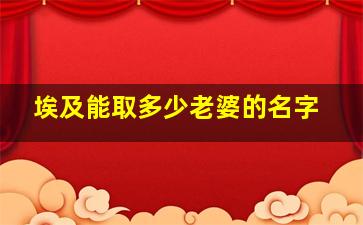 埃及能取多少老婆的名字