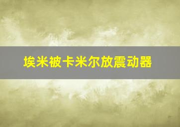 埃米被卡米尔放震动器