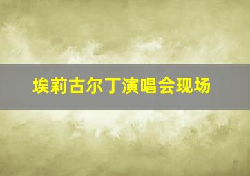 埃莉古尔丁演唱会现场