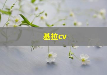 基拉cv