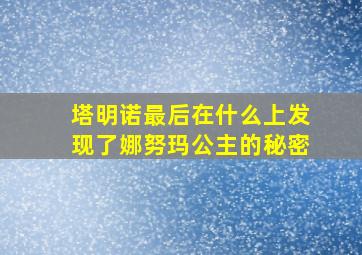 塔明诺最后在什么上发现了娜努玛公主的秘密