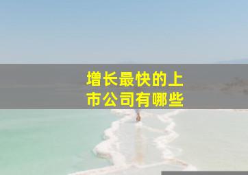 增长最快的上市公司有哪些