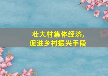 壮大村集体经济,促进乡村振兴手段