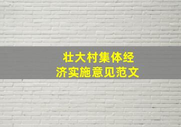 壮大村集体经济实施意见范文