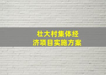 壮大村集体经济项目实施方案