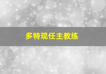 多特现任主教练