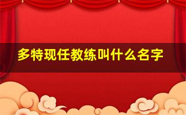 多特现任教练叫什么名字