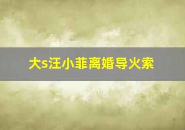 大s汪小菲离婚导火索