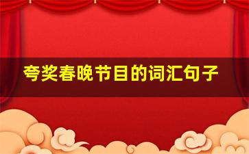 夸奖春晚节目的词汇句子