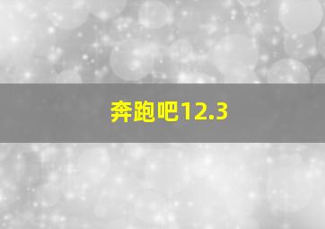 奔跑吧12.3