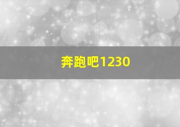 奔跑吧1230