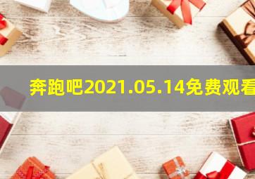 奔跑吧2021.05.14免费观看