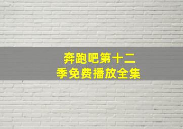 奔跑吧第十二季免费播放全集