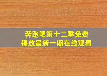 奔跑吧第十二季免费播放最新一期在线观看