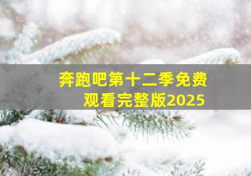 奔跑吧第十二季免费观看完整版2025