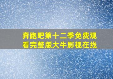 奔跑吧第十二季免费观看完整版大牛影视在线