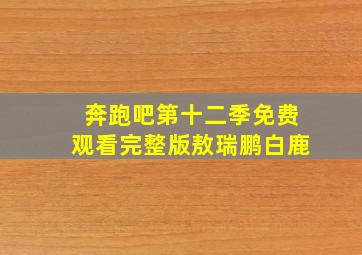 奔跑吧第十二季免费观看完整版敖瑞鹏白鹿