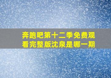 奔跑吧第十二季免费观看完整版沈泉是哪一期