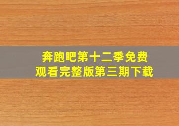 奔跑吧第十二季免费观看完整版第三期下载