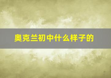 奥克兰初中什么样子的