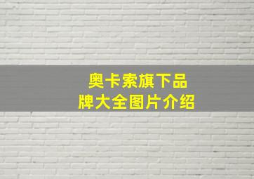 奥卡索旗下品牌大全图片介绍