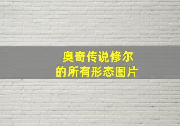 奥奇传说修尔的所有形态图片