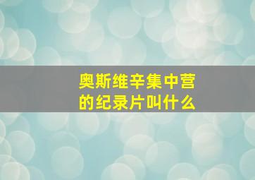 奥斯维辛集中营的纪录片叫什么