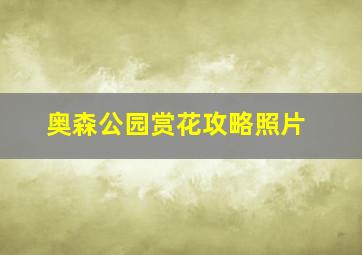 奥森公园赏花攻略照片