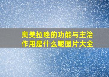 奥美拉唑的功能与主治作用是什么呢图片大全