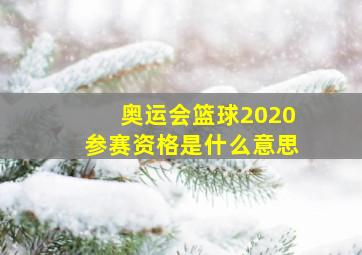 奥运会篮球2020参赛资格是什么意思