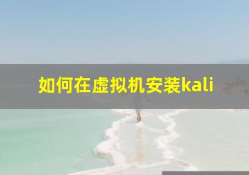 如何在虚拟机安装kali