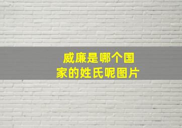 威廉是哪个国家的姓氏呢图片