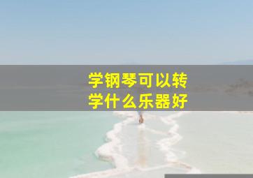 学钢琴可以转学什么乐器好