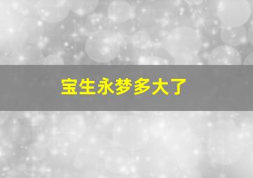 宝生永梦多大了