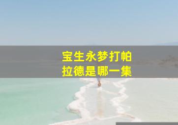 宝生永梦打帕拉德是哪一集