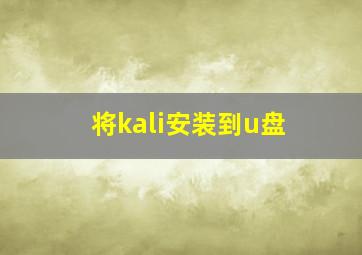 将kali安装到u盘