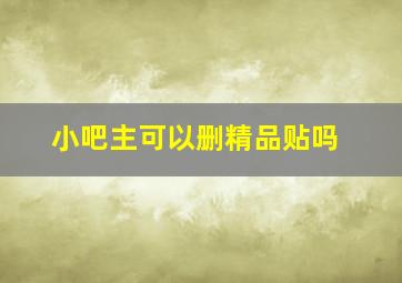 小吧主可以删精品贴吗