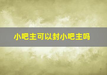 小吧主可以封小吧主吗