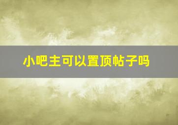 小吧主可以置顶帖子吗