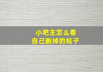 小吧主怎么看自己删掉的帖子