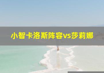 小智卡洛斯阵容vs莎莉娜