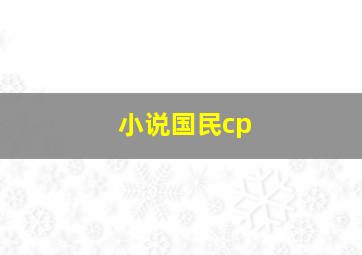 小说国民cp