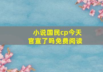 小说国民cp今天官宣了吗免费阅读