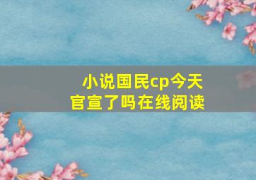 小说国民cp今天官宣了吗在线阅读