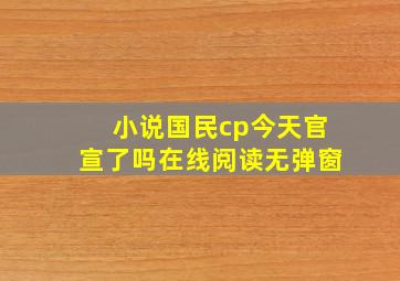 小说国民cp今天官宣了吗在线阅读无弹窗