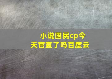 小说国民cp今天官宣了吗百度云