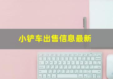 小铲车出售信息最新